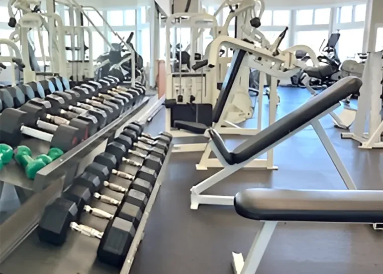 Free Weights